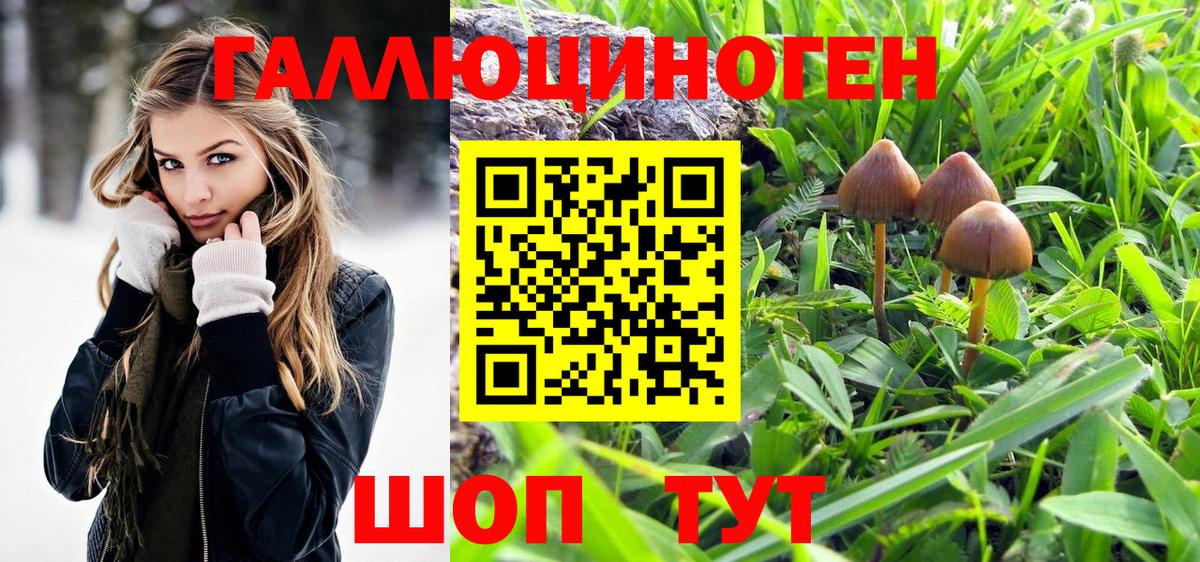 Псилоцибиновые грибы ЛСД  Вход с VPN  купить наркотики цена  Ачинск 
